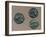 Tetradrachms from Time of Alexander Great. Greek Coins BC-null-Framed Giclee Print