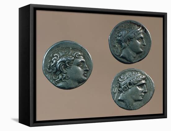 Tetradrachms from Time of Alexander Great. Greek Coins BC-null-Framed Stretched Canvas