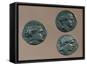 Tetradrachms from Time of Alexander Great. Greek Coins BC-null-Framed Stretched Canvas