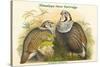 Tetraogallus Himilayensis - Himalaya Snow Partridge-John Gould-Stretched Canvas