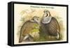 Tetraogallus Himilayensis - Himalaya Snow Partridge-John Gould-Framed Stretched Canvas