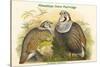 Tetraogallus Himilayensis - Himalaya Snow Partridge-John Gould-Stretched Canvas