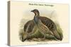 Tetraophasis Obscuras - Mou-Pin Snow Partridge-John Gould-Stretched Canvas