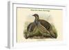 Tetraophasis Obscuras - Mou-Pin Snow Partridge-John Gould-Framed Art Print