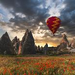 Hot Air Balloon Flying over Red Poppies Field Cappadocia Region, Turkey-Tetyana Kochneva-Framed Stretched Canvas