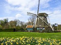 Traditional Dutch Windmill with Daffodils Field Nearby, the Netherlands-Tetyanka-Photographic Print