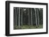 Teutoburg Forest all around Oerlinghausen,-Nadja Jacke-Framed Photographic Print