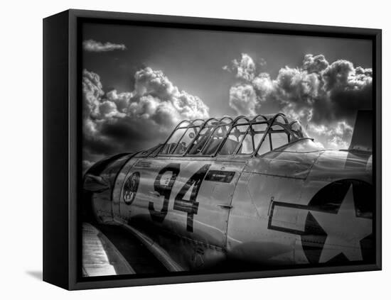 Texan-Stephen Arens-Framed Stretched Canvas