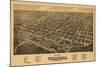 Texarkana, Texas - Panoramic Map-Lantern Press-Mounted Art Print