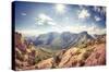 Texas - Big Bend National Park-Trends International-Stretched Canvas