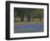 Texas Blue Bonnets and Oak Trees, Nixon, Texas, USA-Darrell Gulin-Framed Photographic Print