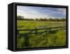 Texas Blue Bonnets, Vetch in Meadow Near Brenham, Texas, USA-Darrell Gulin-Framed Stretched Canvas