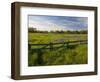 Texas Blue Bonnets, Vetch in Meadow Near Brenham, Texas, USA-Darrell Gulin-Framed Photographic Print