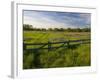 Texas Blue Bonnets, Vetch in Meadow Near Brenham, Texas, USA-Darrell Gulin-Framed Photographic Print