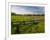 Texas Blue Bonnets, Vetch in Meadow Near Brenham, Texas, USA-Darrell Gulin-Framed Photographic Print