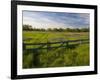 Texas Blue Bonnets, Vetch in Meadow Near Brenham, Texas, USA-Darrell Gulin-Framed Photographic Print