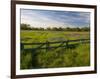 Texas Blue Bonnets, Vetch in Meadow Near Brenham, Texas, USA-Darrell Gulin-Framed Photographic Print