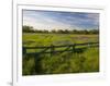 Texas Blue Bonnets, Vetch in Meadow Near Brenham, Texas, USA-Darrell Gulin-Framed Photographic Print