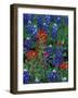 Texas Bluebonnet and Indian Paintbrush, Texas, USA-Claudia Adams-Framed Photographic Print