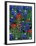 Texas Bluebonnet and Indian Paintbrush, Texas, USA-Claudia Adams-Framed Photographic Print