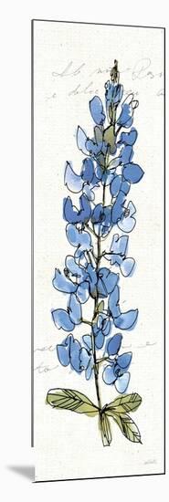 Texas Bluebonnet III-Anne Tavoletti-Mounted Art Print