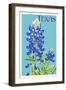 Texas - Bluebonnet - Letterpress-Lantern Press-Framed Art Print