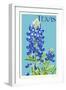 Texas - Bluebonnet - Letterpress-Lantern Press-Framed Art Print