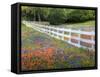 Texas Bluebonnets and Paintbrush Along White Fence Line, Texas, USA-Julie Eggers-Framed Stretched Canvas