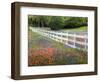 Texas Bluebonnets and Paintbrush Along White Fence Line, Texas, USA-Julie Eggers-Framed Photographic Print