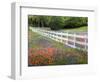 Texas Bluebonnets and Paintbrush Along White Fence Line, Texas, USA-Julie Eggers-Framed Photographic Print