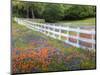 Texas Bluebonnets and Paintbrush Along White Fence Line, Texas, USA-Julie Eggers-Mounted Photographic Print