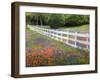 Texas Bluebonnets and Paintbrush Along White Fence Line, Texas, USA-Julie Eggers-Framed Photographic Print