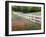 Texas Bluebonnets and Paintbrush Along White Fence Line, Texas, USA-Julie Eggers-Framed Photographic Print