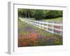 Texas Bluebonnets and Paintbrush Along White Fence Line, Texas, USA-Julie Eggers-Framed Photographic Print