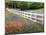 Texas Bluebonnets and Paintbrush Along White Fence Line, Texas, USA-Julie Eggers-Mounted Photographic Print