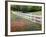 Texas Bluebonnets and Paintbrush Along White Fence Line, Texas, USA-Julie Eggers-Framed Photographic Print