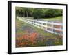 Texas Bluebonnets and Paintbrush Along White Fence Line, Texas, USA-Julie Eggers-Framed Photographic Print