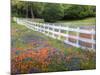 Texas Bluebonnets and Paintbrush Along White Fence Line, Texas, USA-Julie Eggers-Mounted Photographic Print