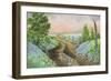 Texas Bluebonnets - H2-Sher Sester-Framed Giclee Print