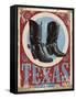 Texas Bold-null-Framed Stretched Canvas