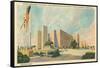 Texas Centennial Exposition, Dallas-null-Framed Stretched Canvas