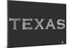 Texas Cities Text Poster-null-Mounted Poster