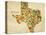 Texas County Map-David Bowman-Stretched Canvas