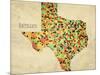 Texas County Map-David Bowman-Mounted Giclee Print