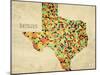 Texas County Map-David Bowman-Mounted Giclee Print