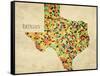 Texas County Map-David Bowman-Framed Stretched Canvas