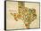 Texas County Map-David Bowman-Framed Stretched Canvas