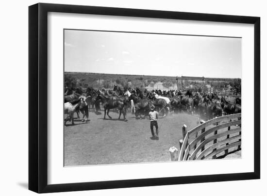 Texas: Cowboy, 1939-Russell Lee-Framed Giclee Print