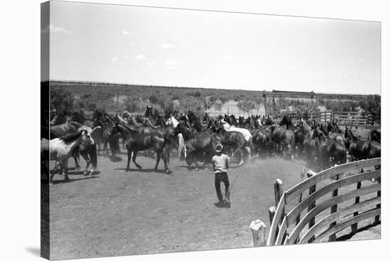 Texas: Cowboy, 1939-Russell Lee-Stretched Canvas