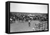 Texas: Cowboy, 1939-Russell Lee-Framed Stretched Canvas